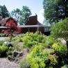 images/Schweden/Schweden 2010/IMG_9804.jpg